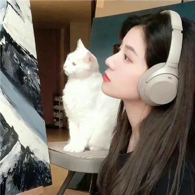 影子拳手