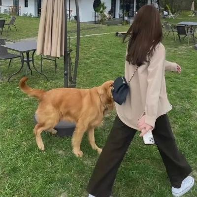 诡宴